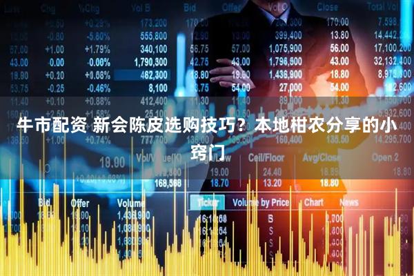 牛市配资 新会陈皮选购技巧？本地柑农分享的小窍门